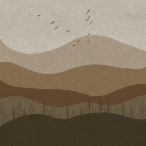 Neutral Toned Mountain Landscape