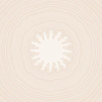 Abstract Beige Sun Circles wallpaper