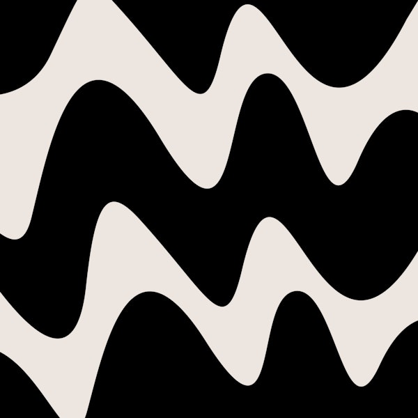 Bold Black White Waves