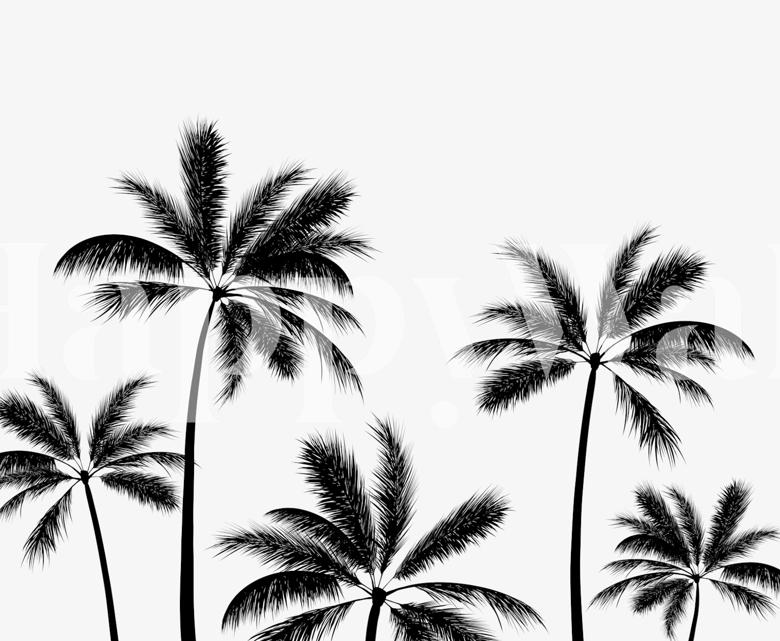 Tropical Palms Black and White wallpaper in a room