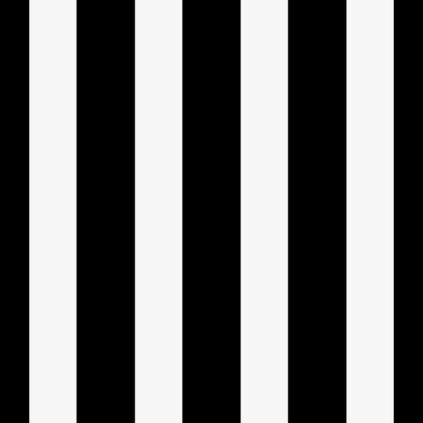 Bold Black White Stripes
