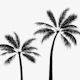 Hot Black Tropical Palms