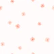 Soft Pink Cherry Blossoms