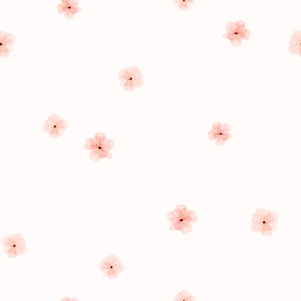 Soft Pink Cherry Blossoms