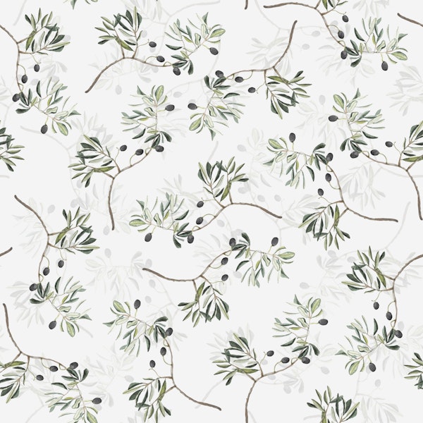 Mediterranean Olive Grove light