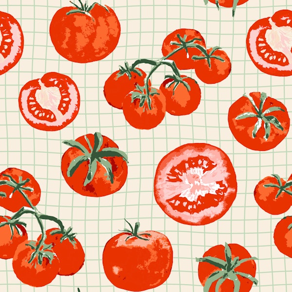Vintage Tomato Grid