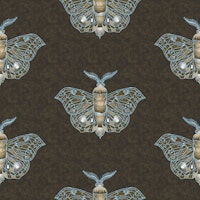 Celestial Moth papiers peint