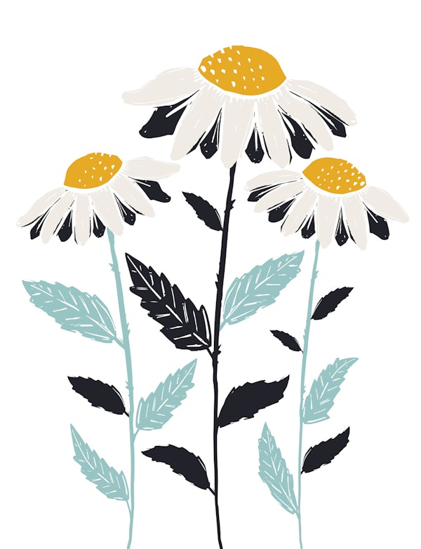 Minimal Wildflower Daisies Mural