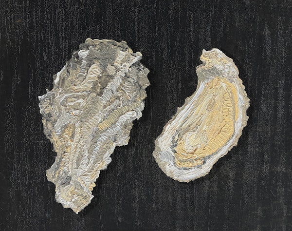 Moody Oysters