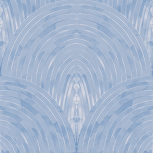 sky denim arch fan texture