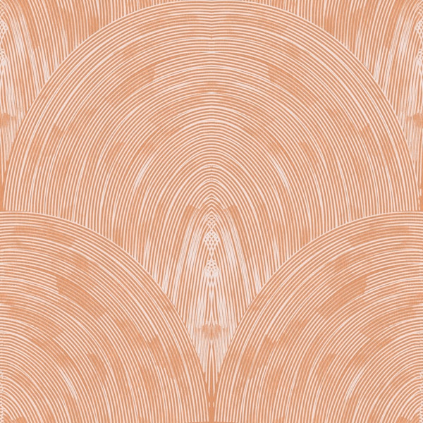 soft apricot arch geometric texture