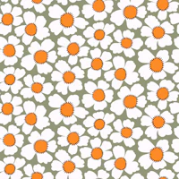 White Daisies on Sage Green tapet