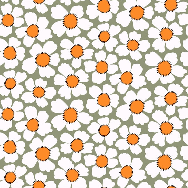 White Daisies on Sage Green