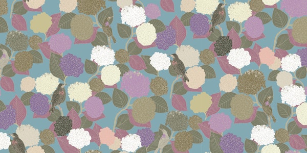 Hydrangeas with Turquoise Backdrop