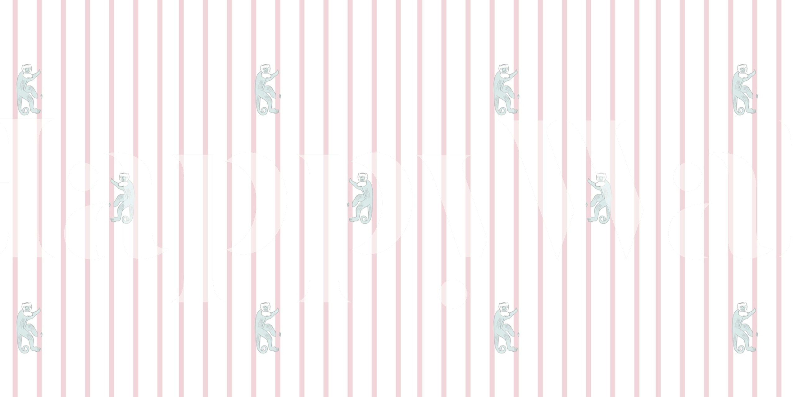 Capuchins on pink stripes wallpaper in a room
