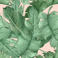 Tropicaline on pink wallpaper