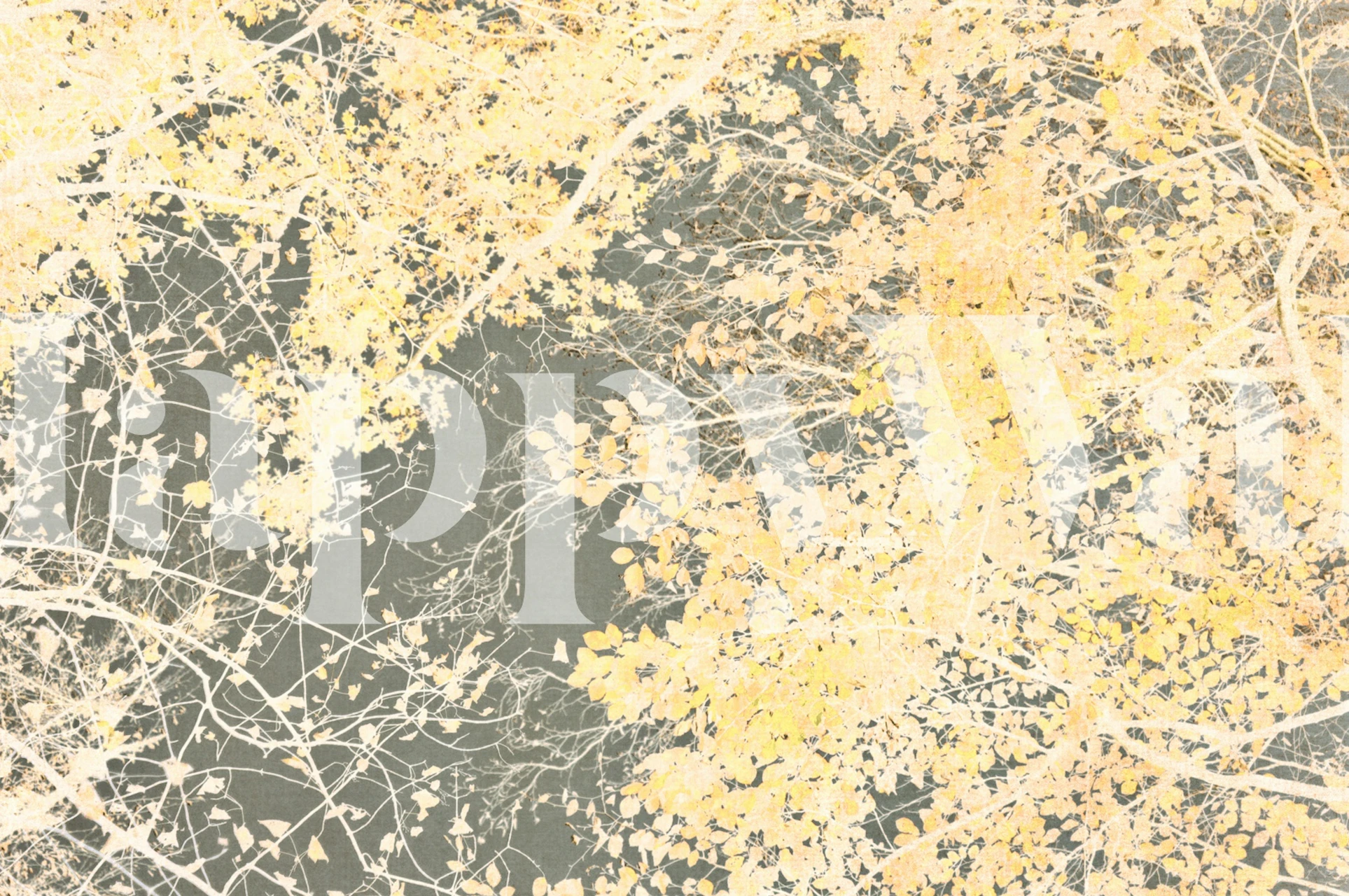 Yellow veil wallpaper in a room setting