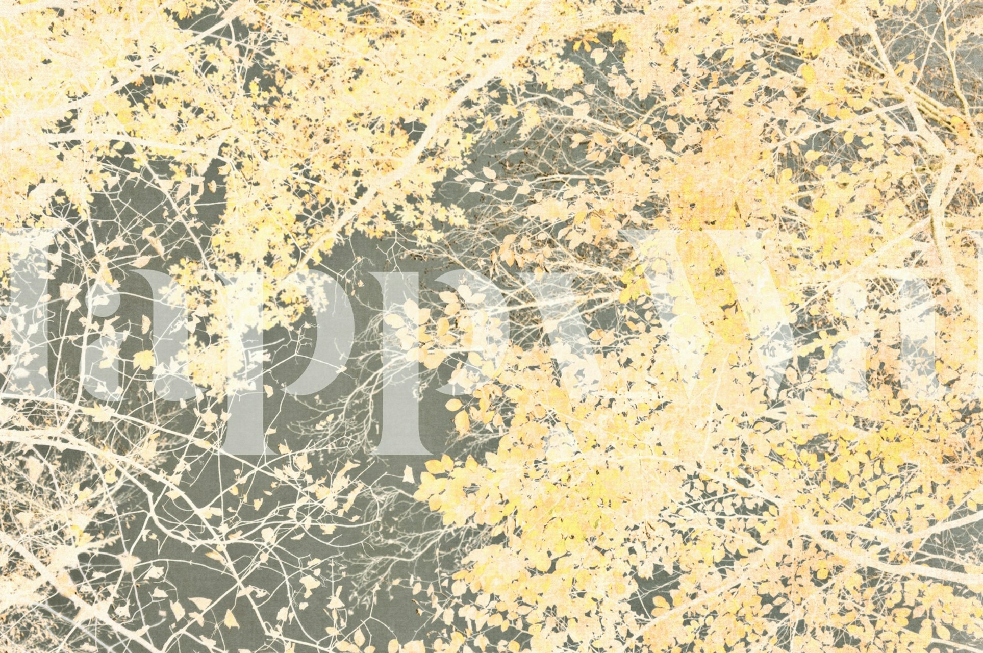 Carta da parati Yellow veil in un ambiente