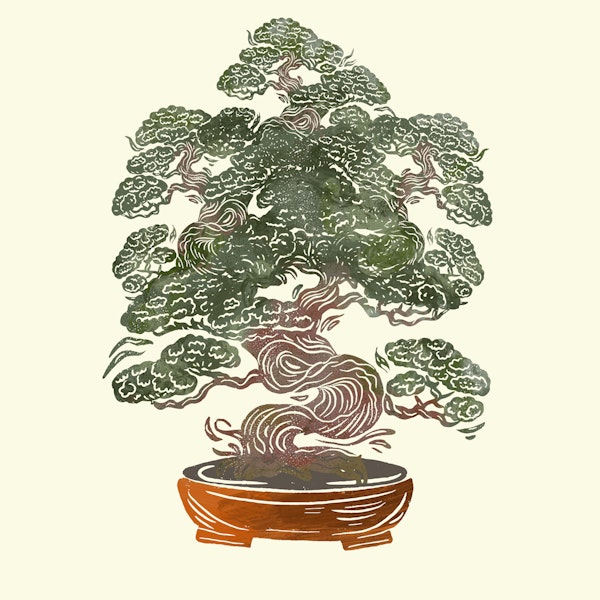 Japanese Bonsai Ink Style