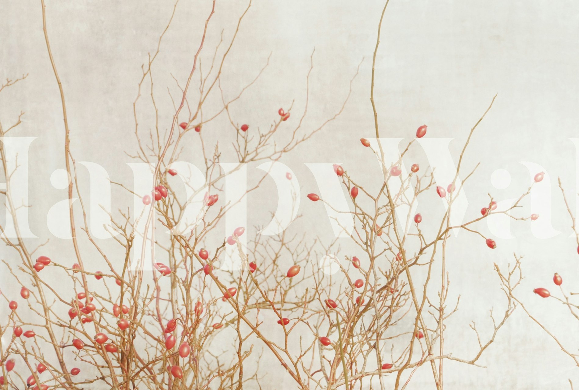 Rosehips vintage wallpaper in a room setting