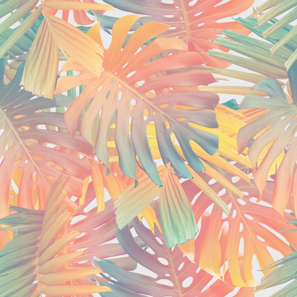 Summer Monstera Palm Jungle 1