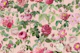 Pierre-Joseph Redoute Vintage French Rose