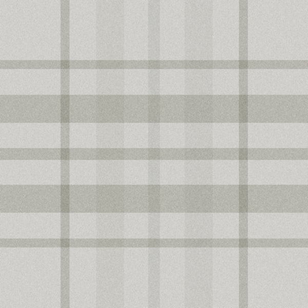 Modern Gray Tartan Grid