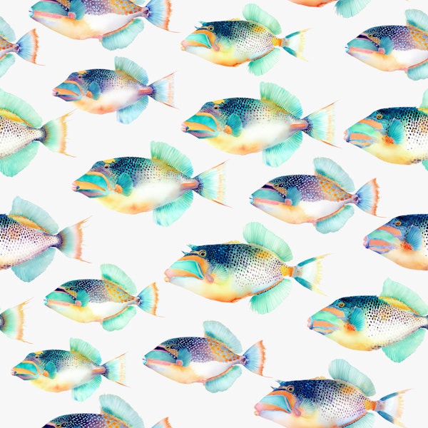 Colorful Tropical Fish School