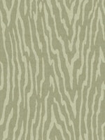 Zebra Safari - Muted Green tapet