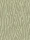 Zebra Safari - Muted Green