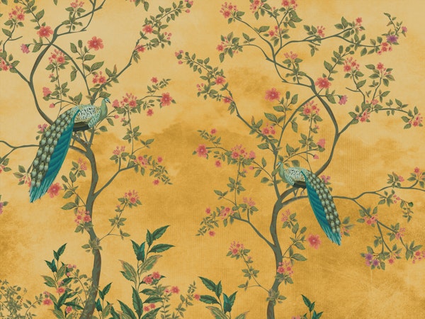 Enchanting Bird Haven