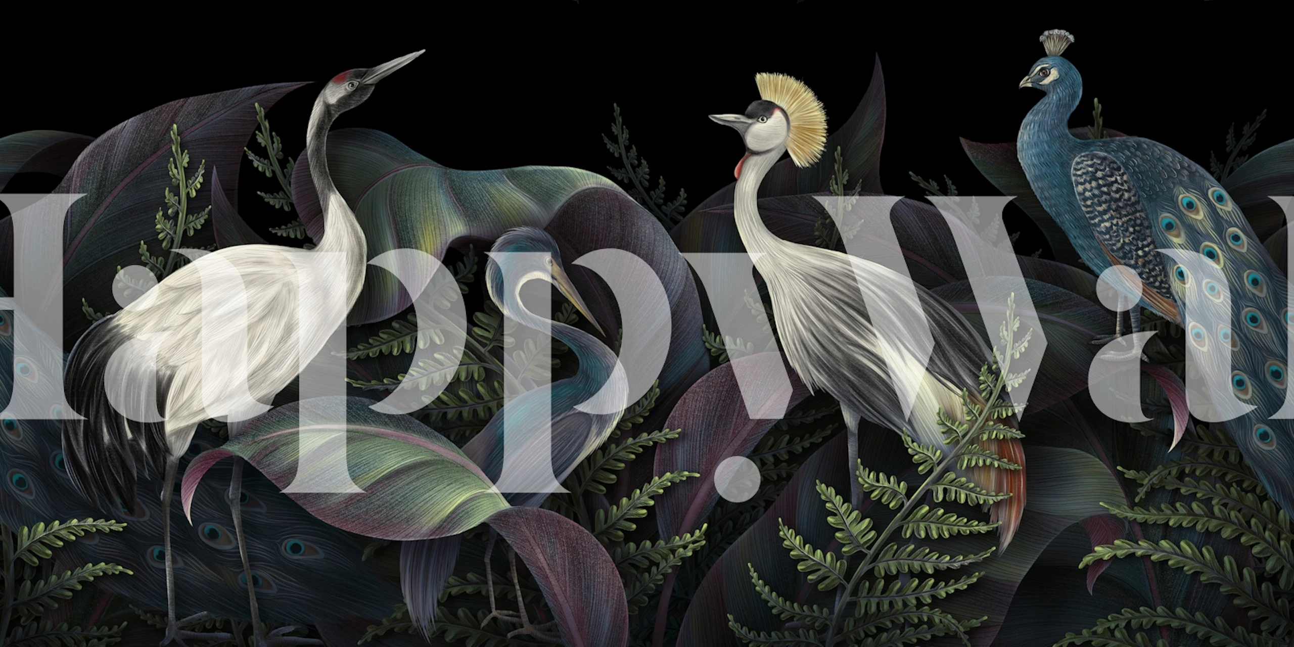 Vibrant Tropical Bird Paradise-behang in een kamer