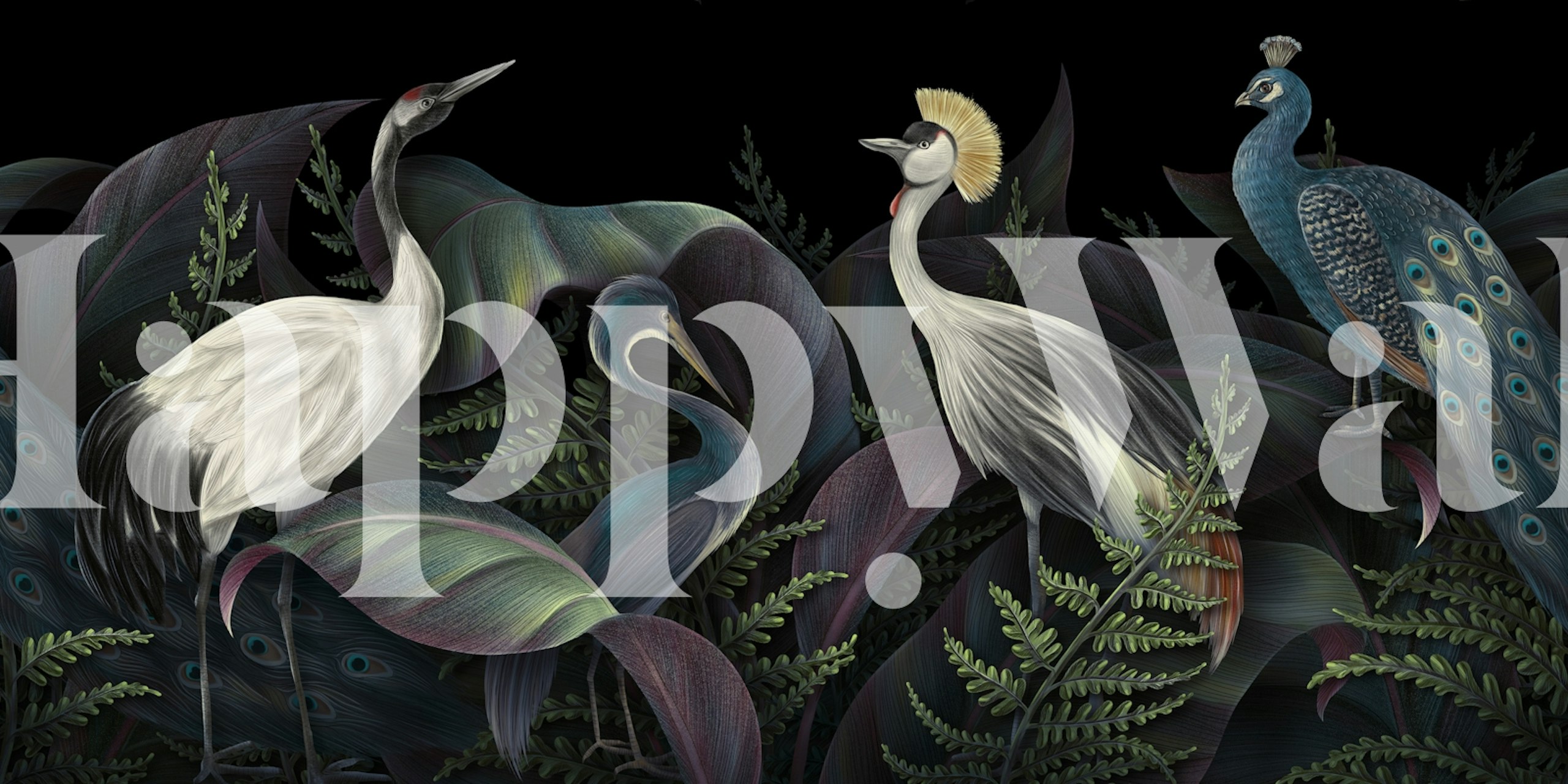 Vibrant Tropical Bird Paradise-tapet i et rum