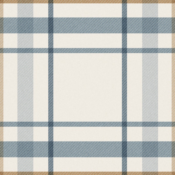 Coastal Blue Tan Plaid
