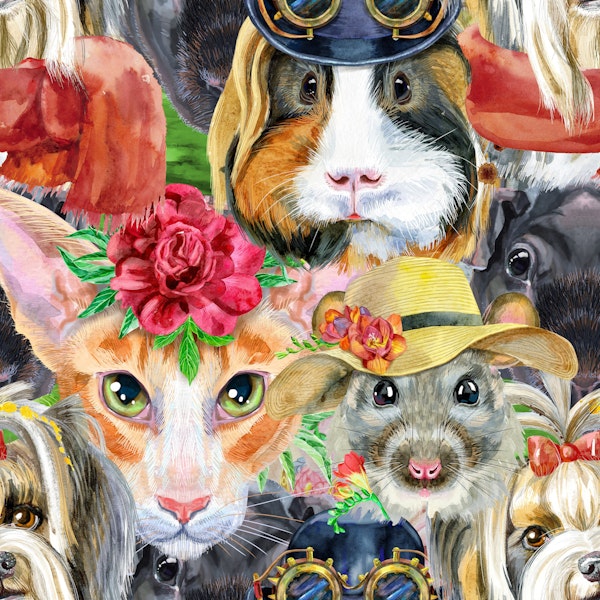 Vibrant Pet Collection Design