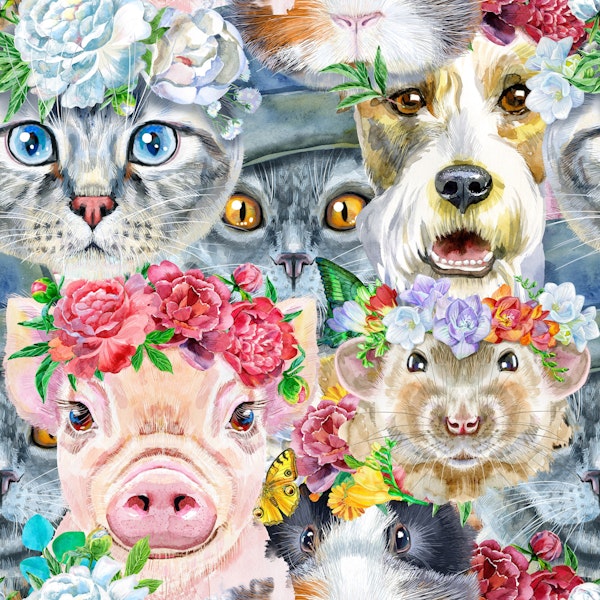 Vibrant Pets in Bloom