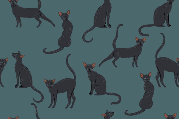 Charming Black Cat Design