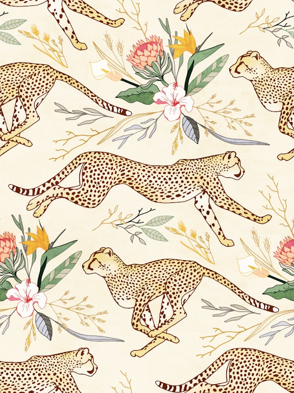 Weightless Cheetahs in Safari - medium