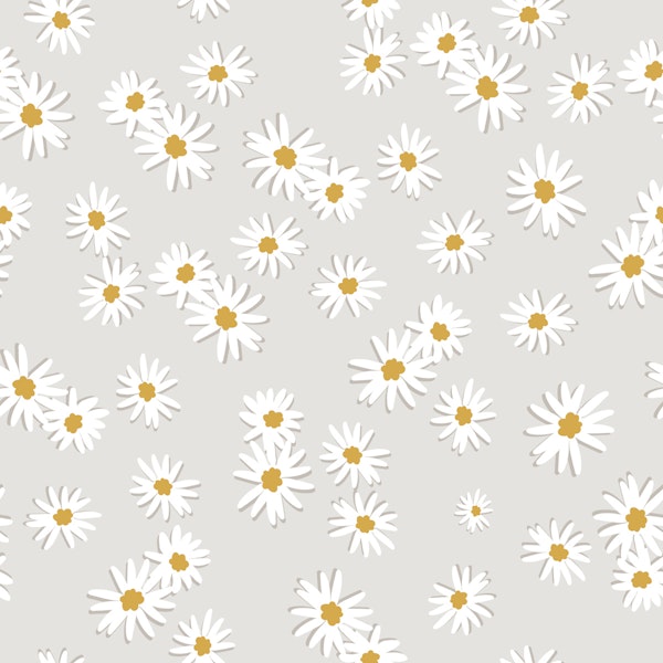 Cute daisies on neutral