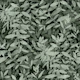 Forest biome dark sage green foliage