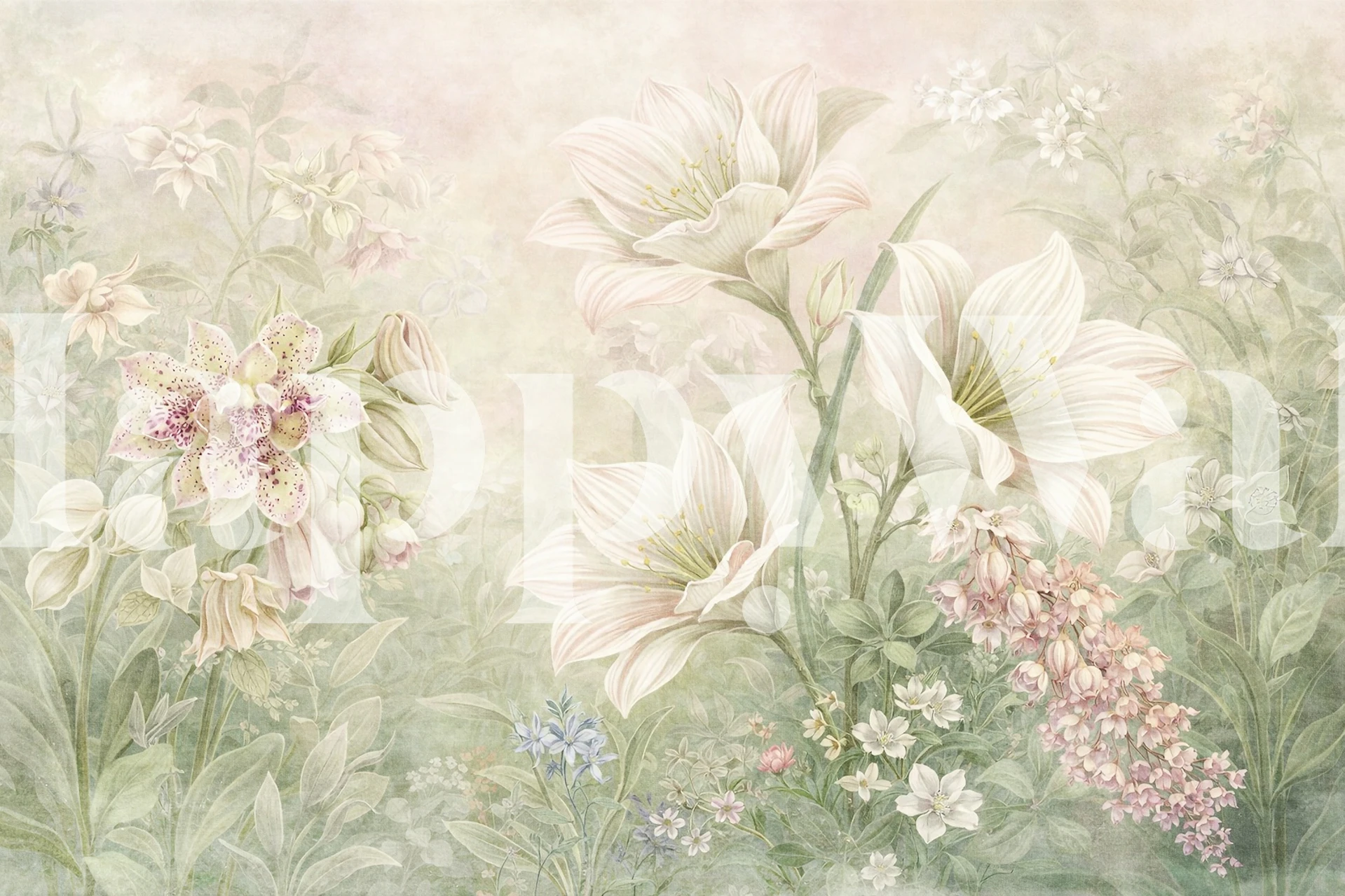 Pastel orchids wallpaper in a room setting