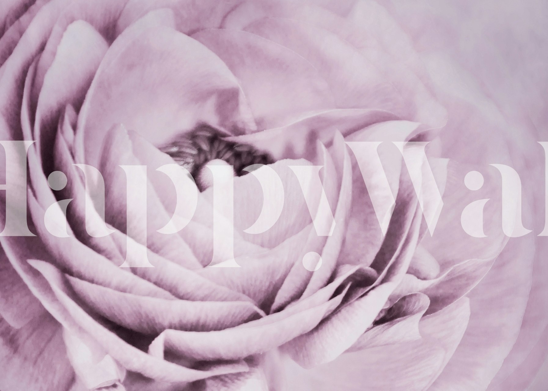 Επιχρισμένος τοίχος λουλουδιών Caressant σε ένα δωμάτιο