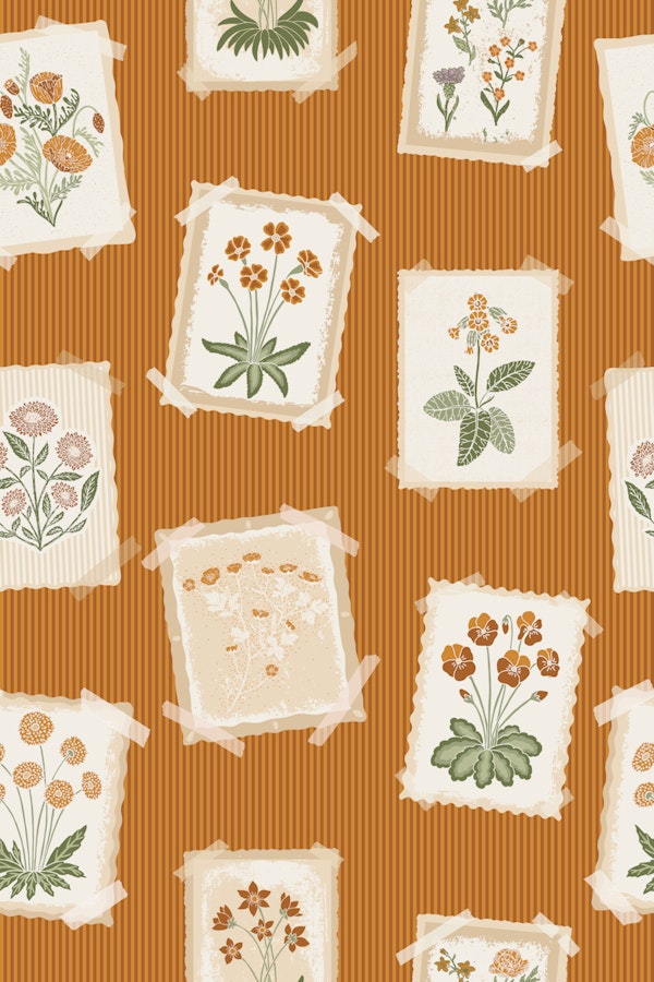 Vintage botanical postcards in orange