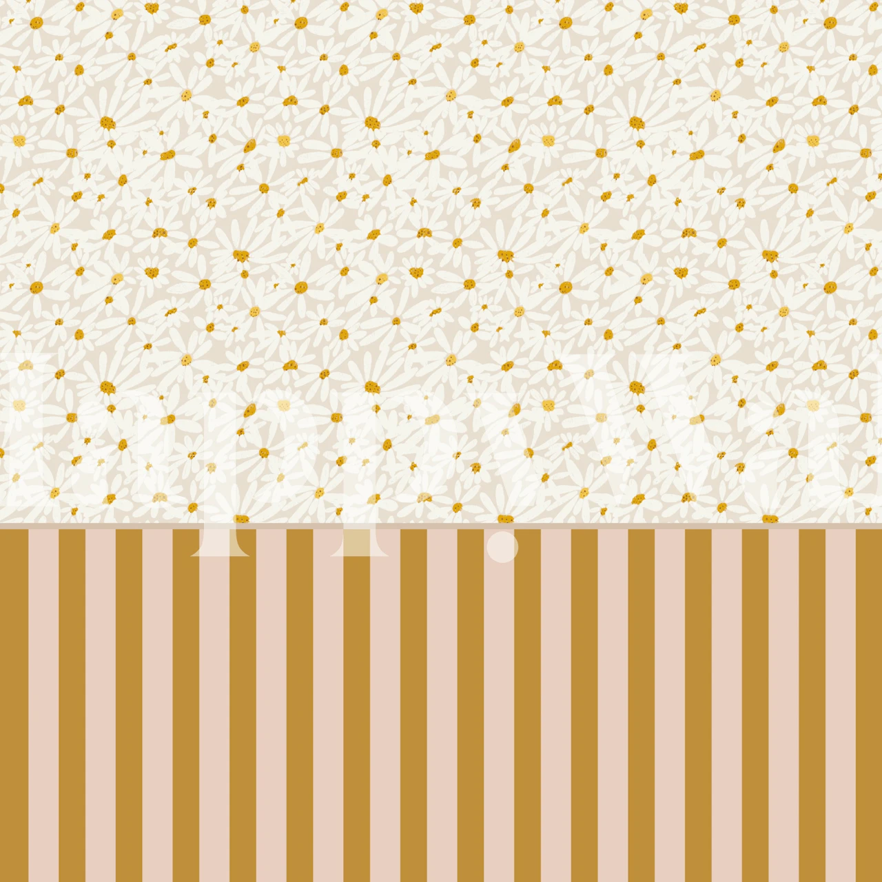 Striped Half wall & Daisy Meadow Tapete in einem Raum