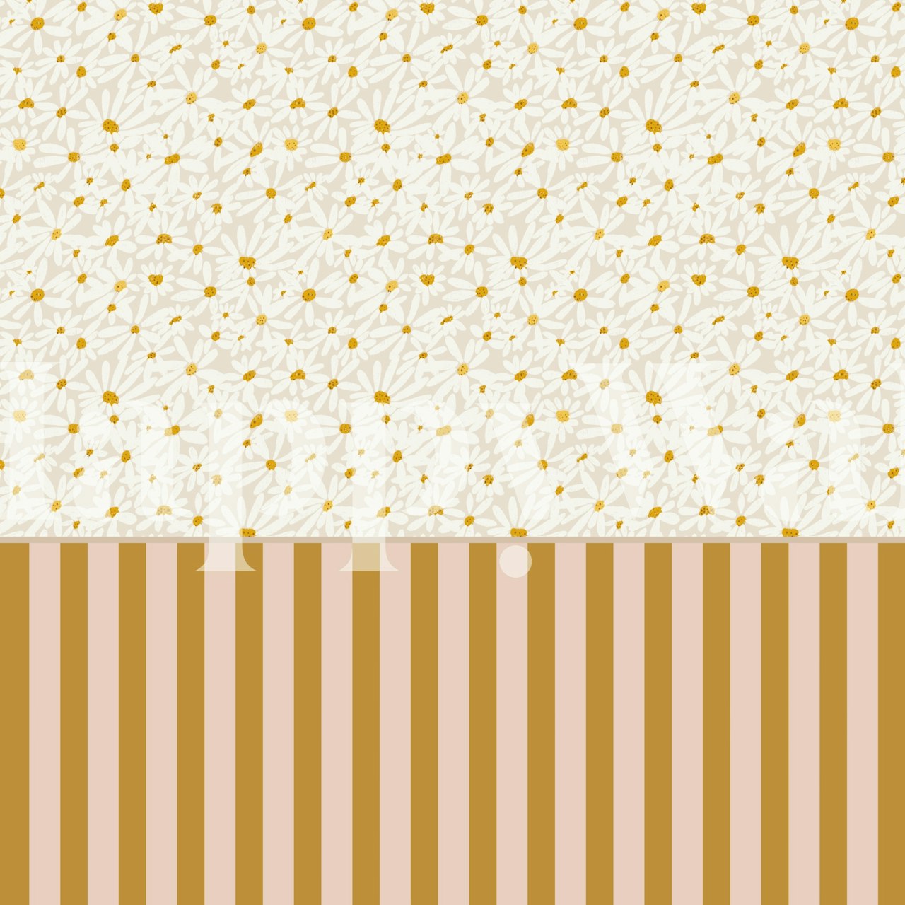 Striped Half wall & Daisy Meadow tapeta w pokoju