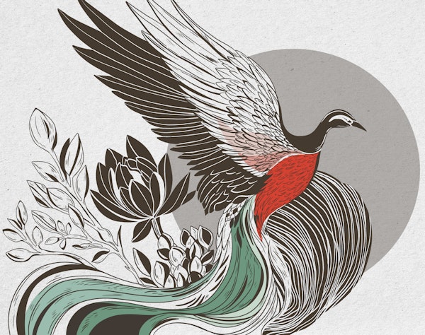 Flying colorful Phoenix