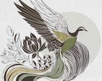 Phoenix illustration tapeet