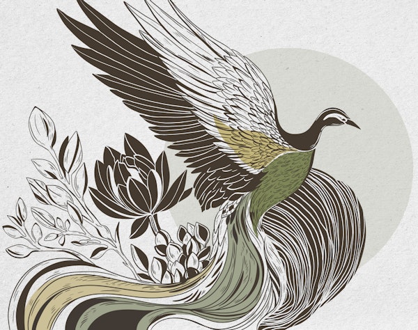 Phoenix illustration