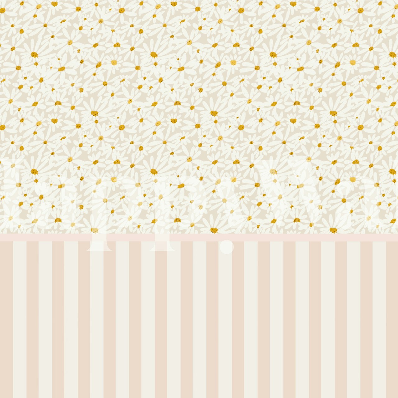 Pink striped wallpaper with white daisies