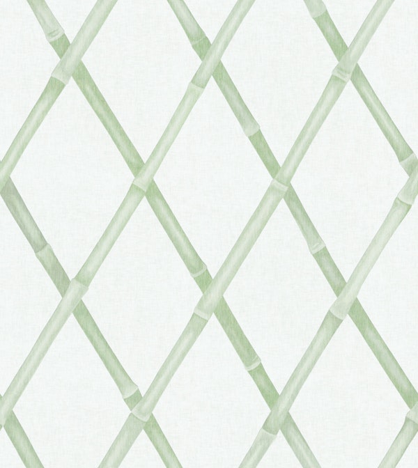 Bamboo Trellis - Muted Green
